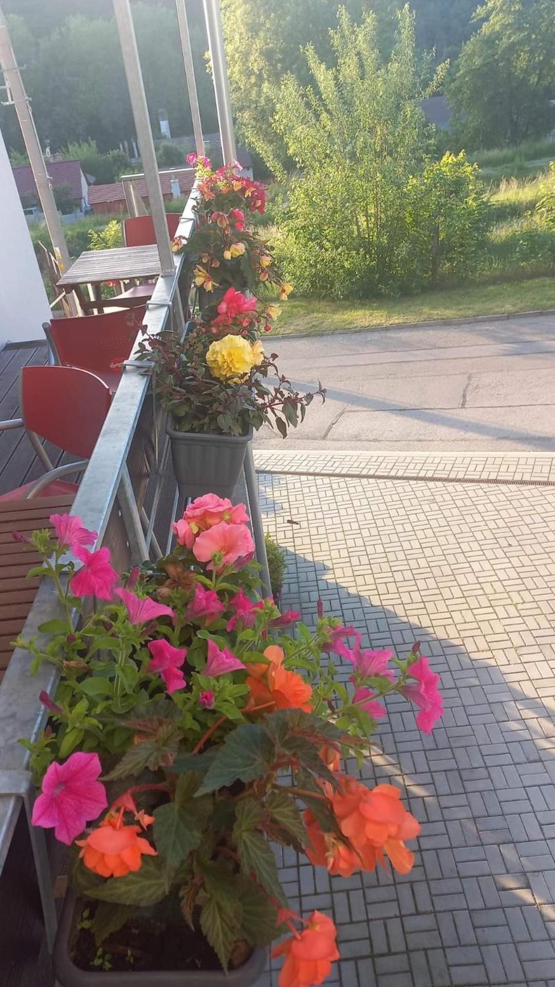 Pension Salma Český Krumlov Eksteriør bilde